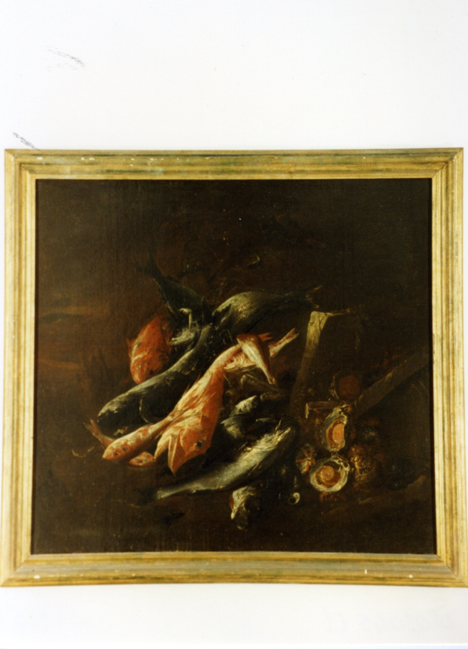 natura morta con pesci (dipinto) di Belvedere Andrea (sec. XVII)