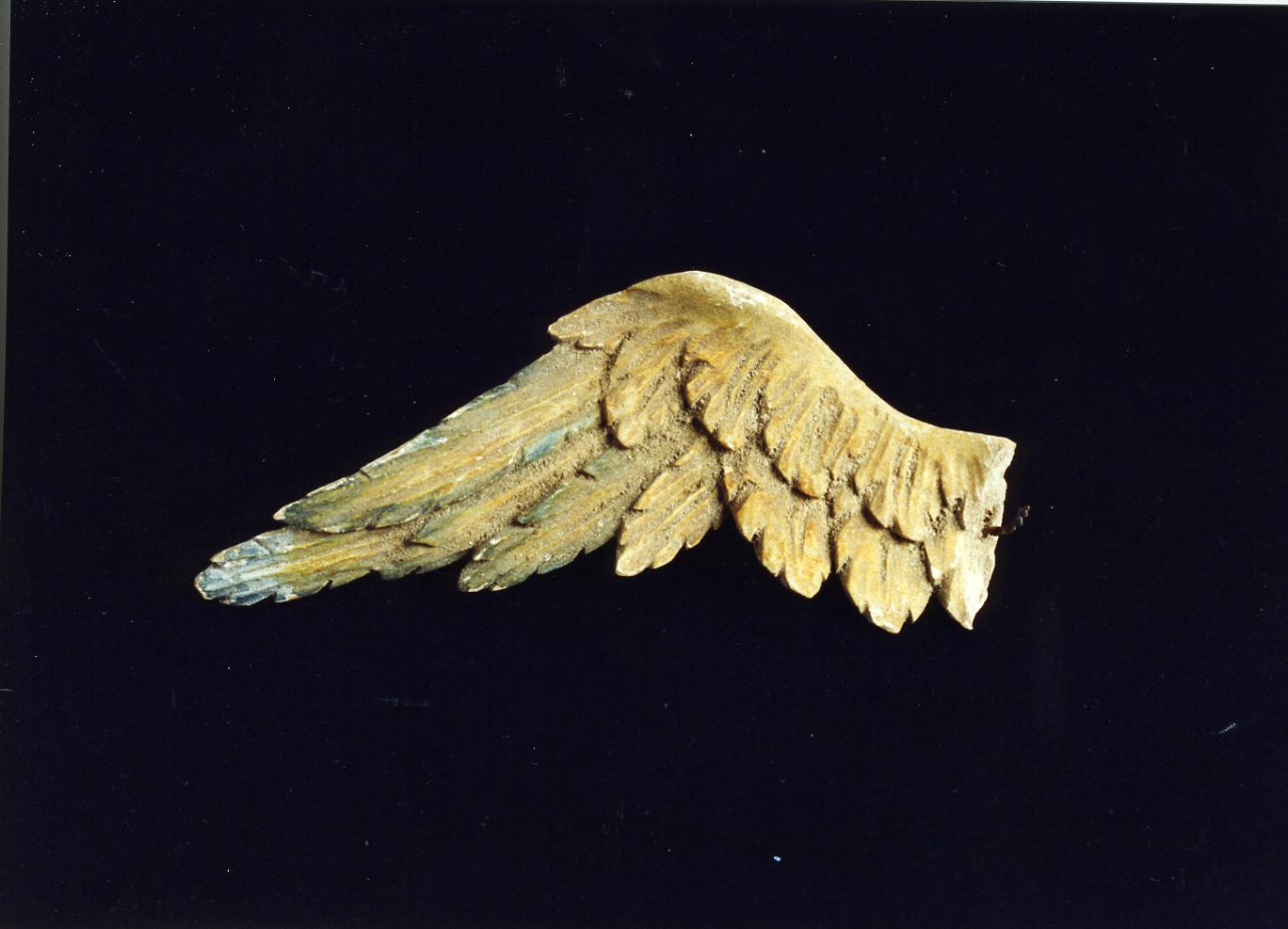 ala di angelo (statuetta di presepio, frammento) - bottega napoletana (secc. XVIII/ XIX)