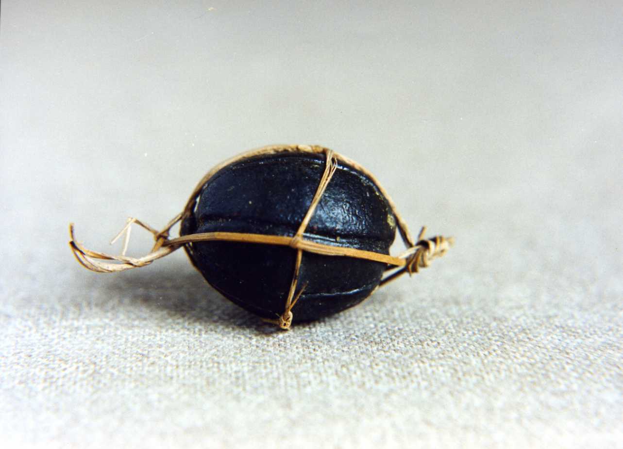 melone verde (scultura miniaturistica, serie) - bottega napoletana (secc. XVIII/ XIX)