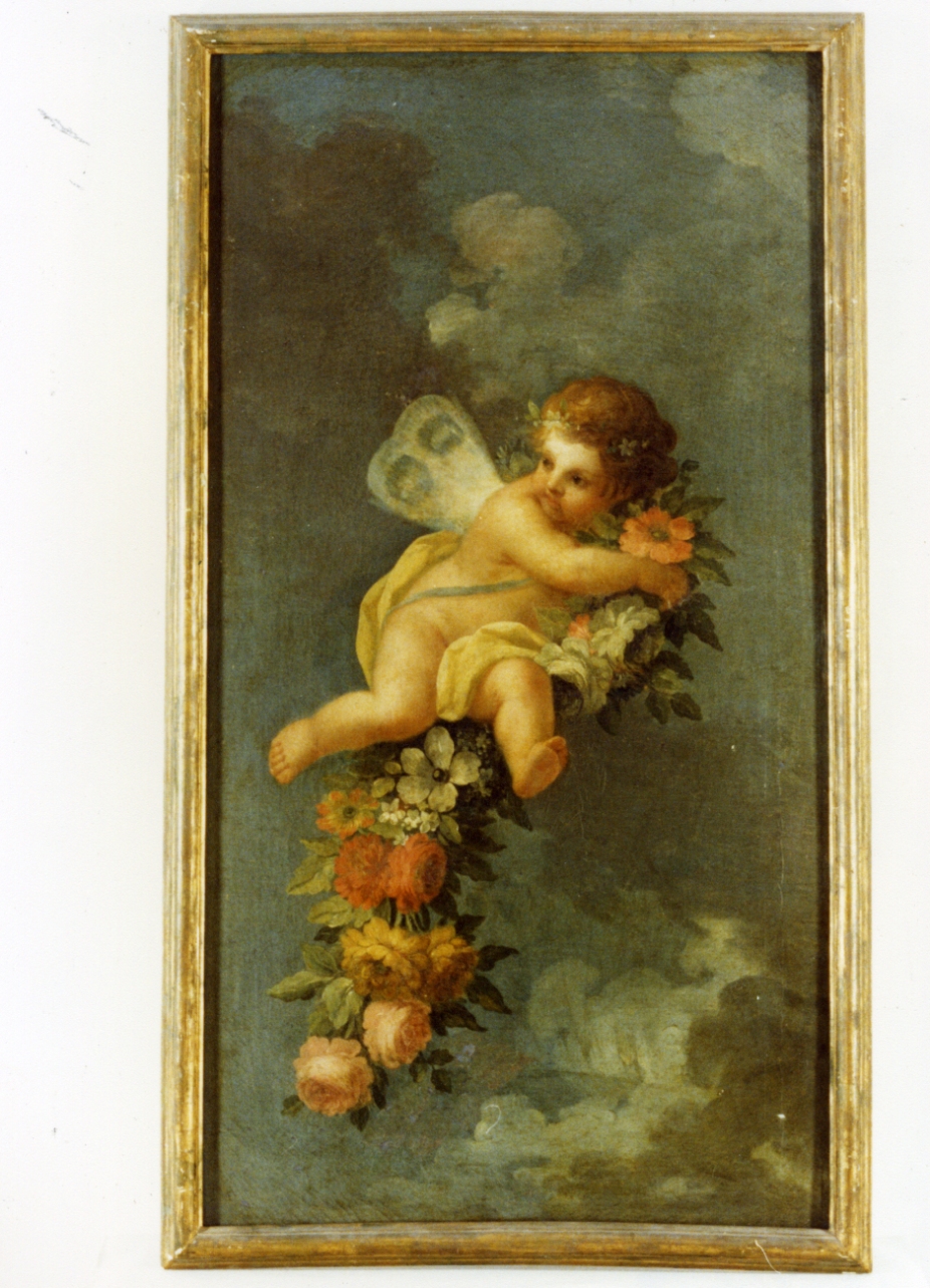putto (dipinto) di Bardellino Pietro (sec. XVIII)