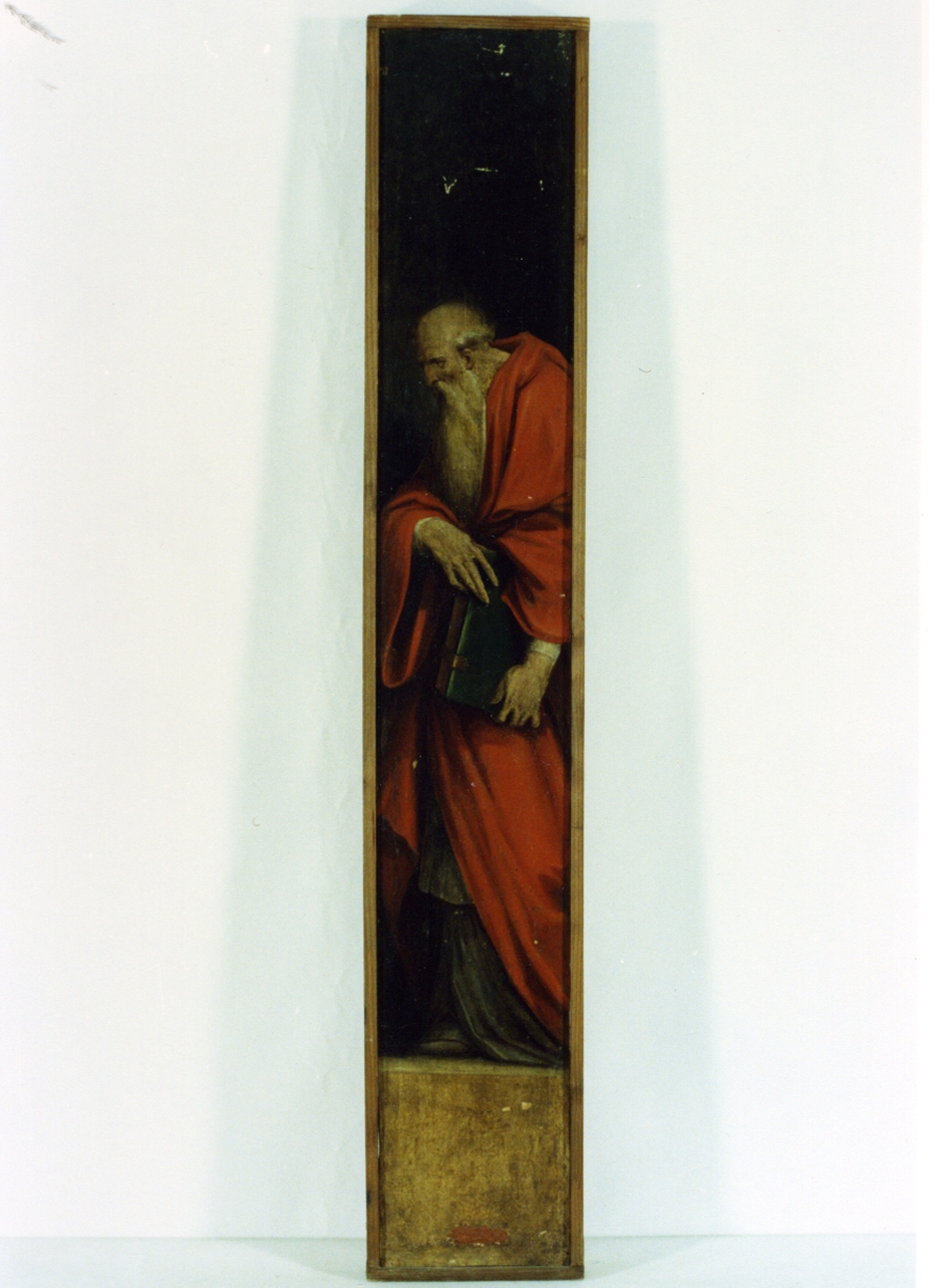 San Girolamo (dipinto) di Vasari Giorgio (sec. XVI)