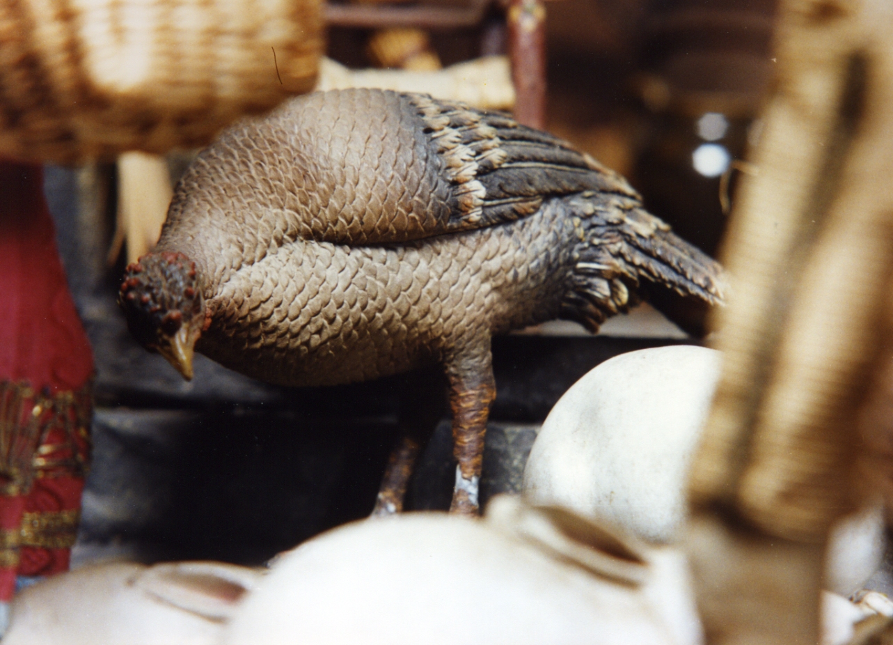 animali (scultura miniaturistica) - bottega napoletana (secc. XVIII/ XIX)
