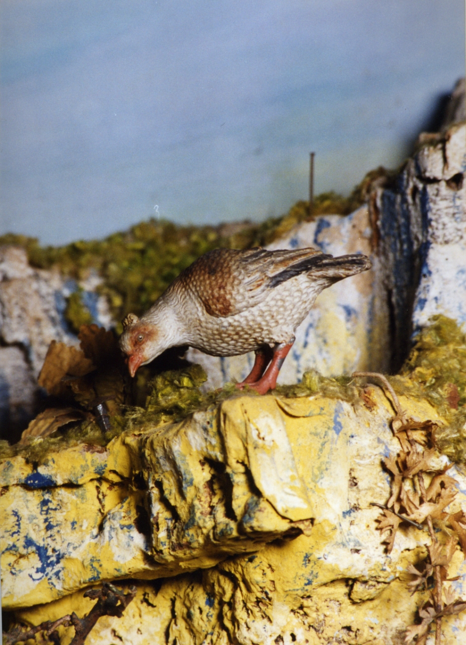 animali (scultura miniaturistica) - bottega napoletana (secc. XVIII/ XIX)