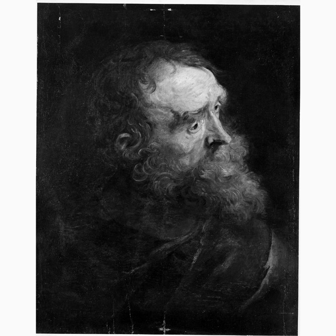 testa di vecchio (dipinto, opera isolata) di Van Dyck Anton (scuola) (sec. XVII)