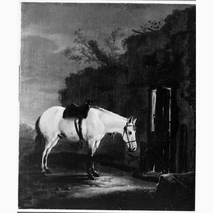 cavallo (dipinto, opera isolata) di Verbecq Cornelius (sec. XVII)
