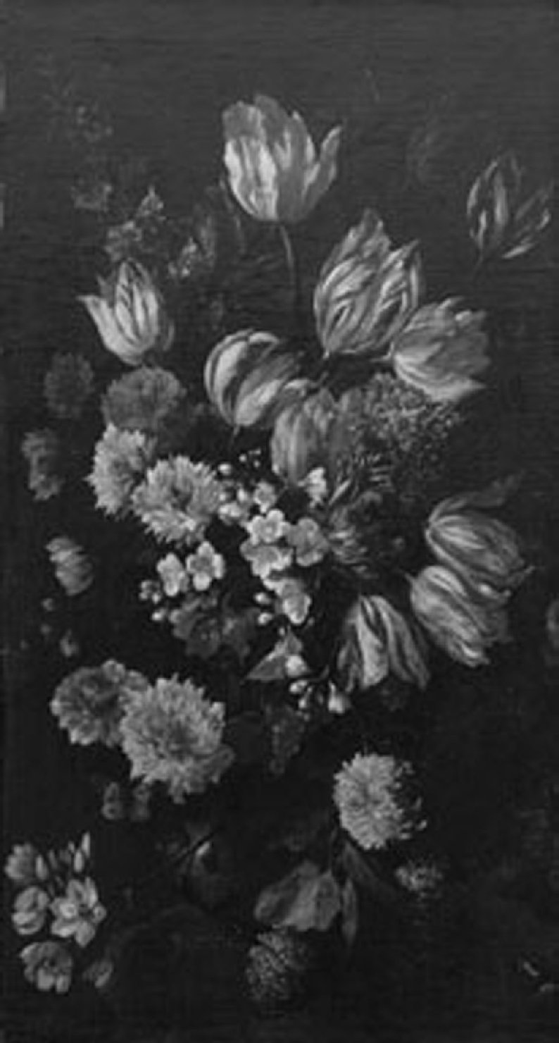 vaso con fiori (dipinto) di Porpora Paolo (sec. XVII)
