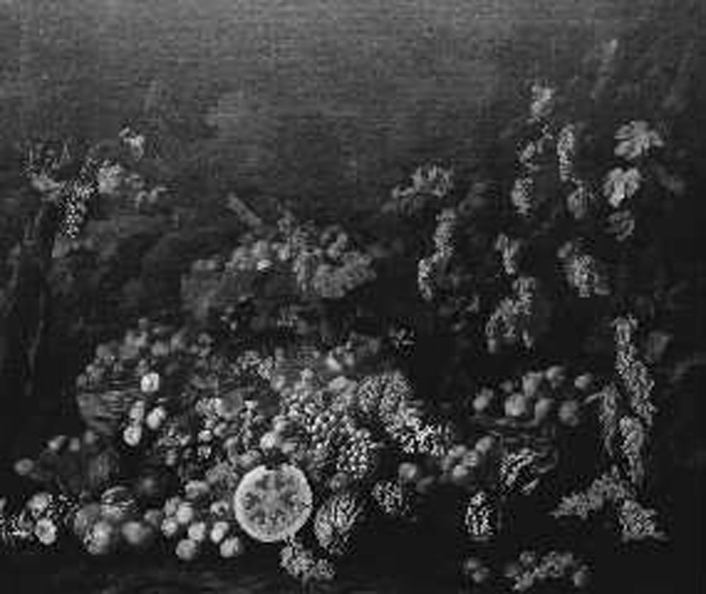 natura morta con frutta (dipinto) di Recco Giuseppe (sec. XVII)