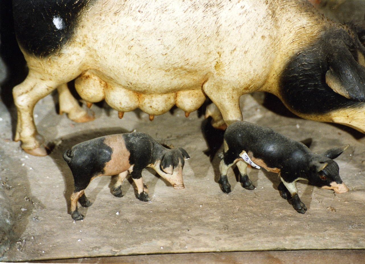 animali (statuetta di presepio, serie) di Ingaldi Nicola (fine/inizio secc. XVIII/ XIX)