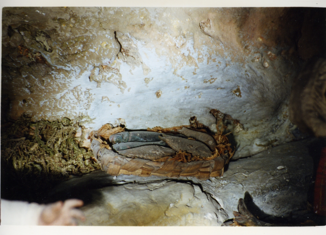 sporta con cinque pesci (scultura miniaturistica) - bottega napoletana (secc. XVIII/ XIX)