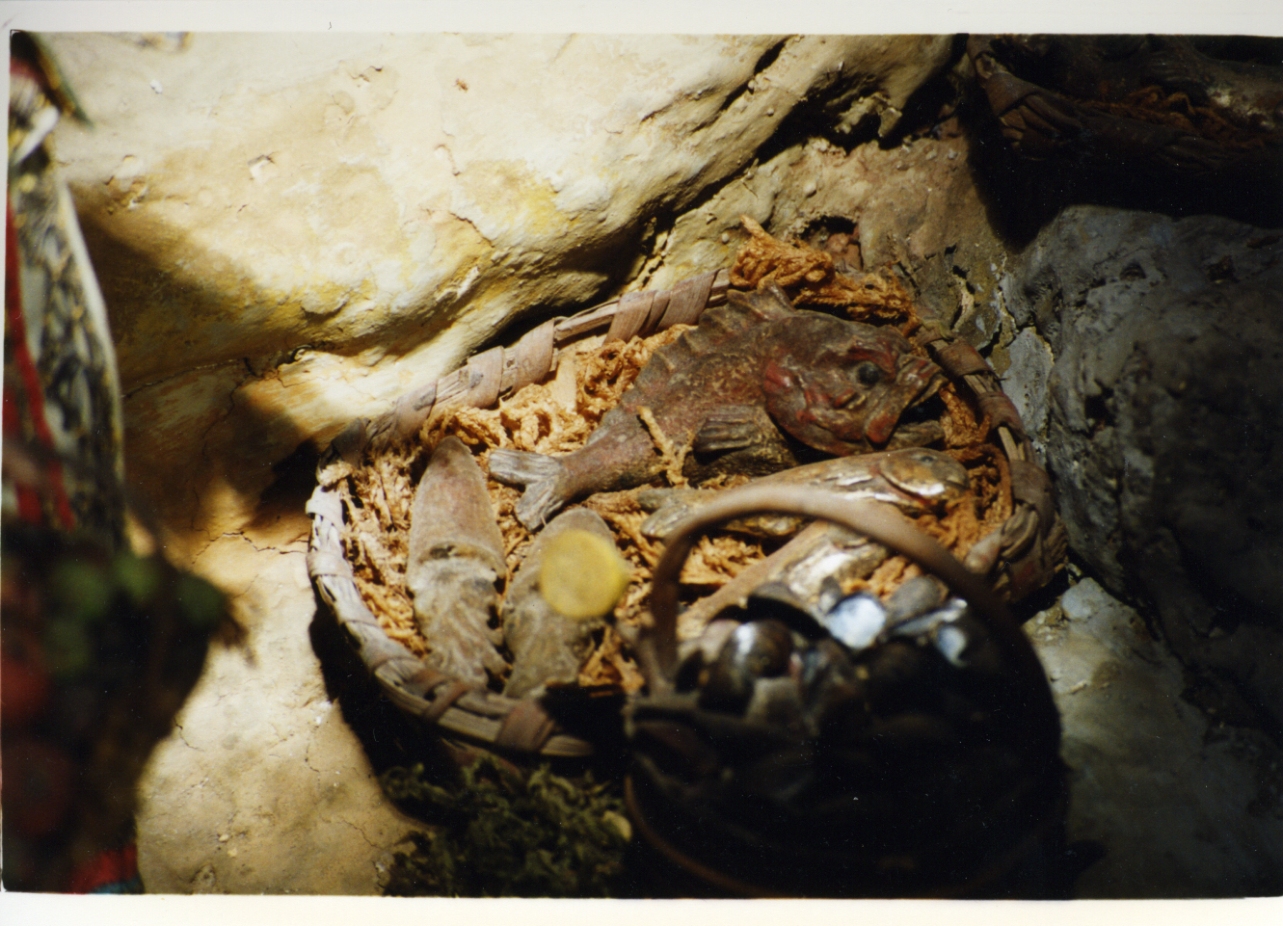 sporta con pesci (scultura miniaturistica) - bottega napoletana (secc. XVIII/ XIX)