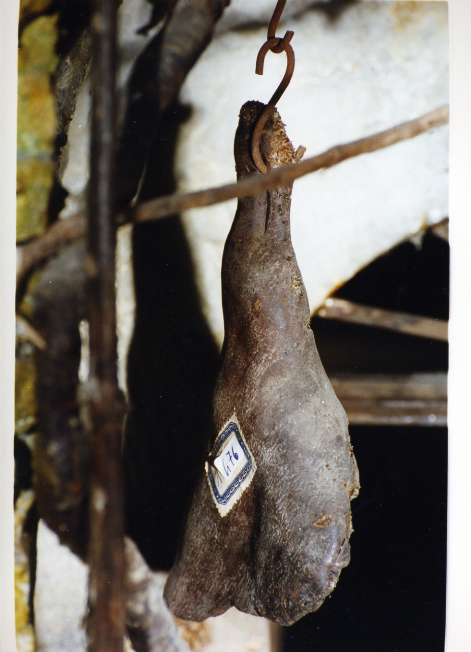 quarto di bue macellato (scultura miniaturistica) - bottega napoletana (secc. XVIII/ XIX)