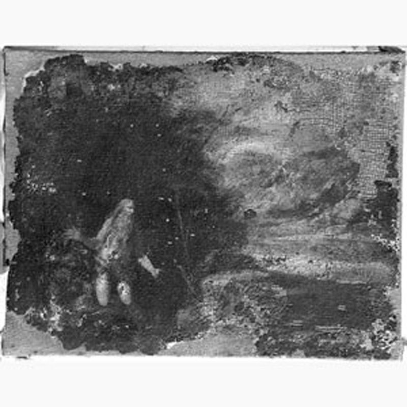 San Paolo Eremita nel deserto (dipinto) di Gargiulo Domenico detto Micco Spadaro (sec. XVII)