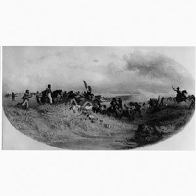 l'esrecito di Garibaldi al Volturno (dipinto) di Mancini Francesco (sec. XIX)