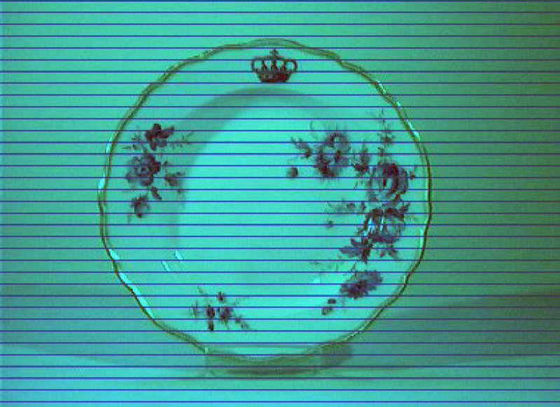 motivi decorativi floreali (piatto) - manifattura di Meissen (sec. XIX)