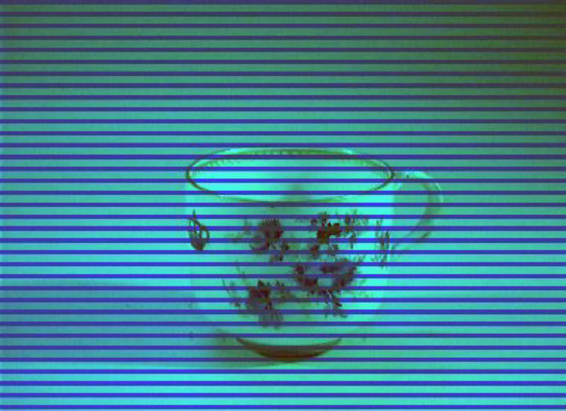 motivo decorativo floreale (tazzina) - manifattura di Meissen (sec. XIX)