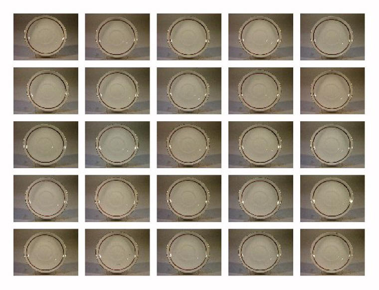 piattino - manifattura Richard-Ginori (sec. XIX)