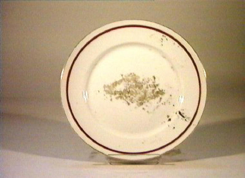 piatto - manifattura Richard-Ginori (sec. XIX)