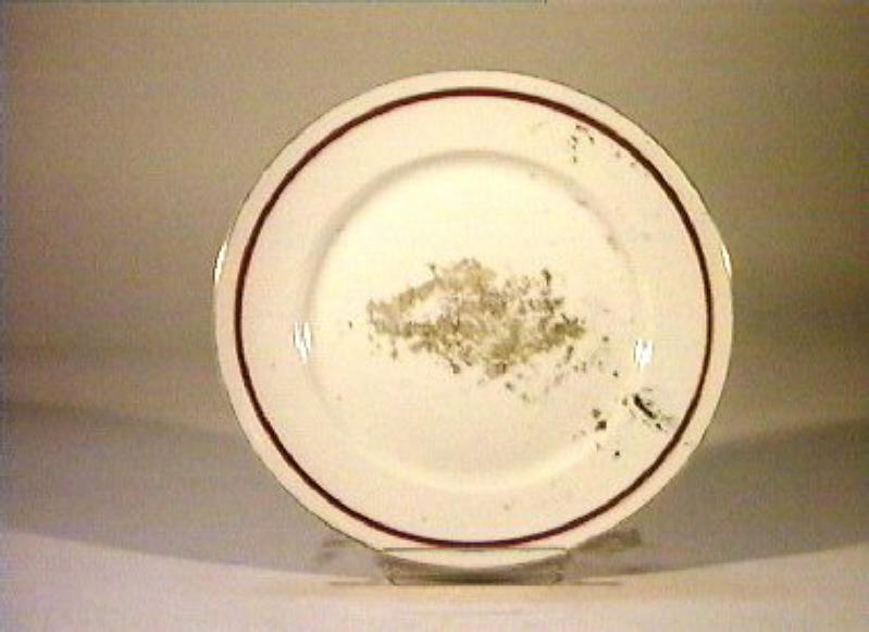 piatto - manifattura Richard-Ginori (sec. XIX)