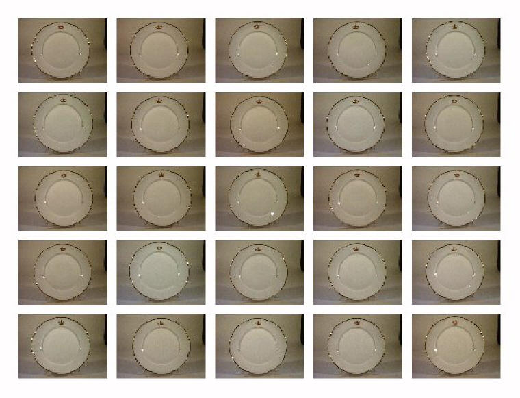 corona Savoia (piatto) - manifattura Richard-Ginori (sec. XIX)