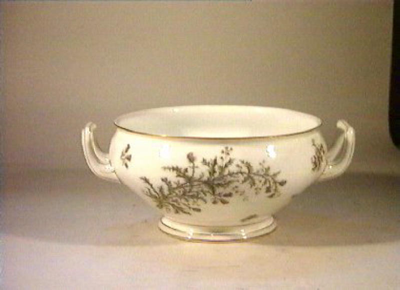 motivi decorativi vegetali e animali (zuppiera) - manifattura Ch. Pillivuyt (sec. XIX)