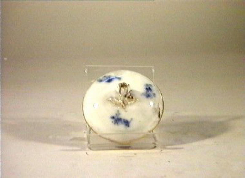 motivi decorativi vegetali e animali (coperchio) - manifattura reale di Prussia (sec. XIX)