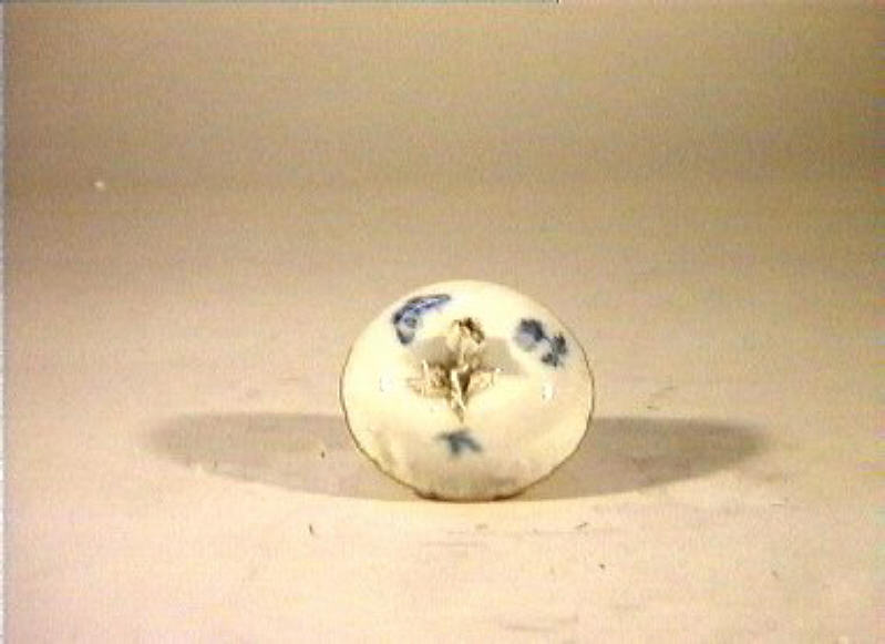 motivi decorativi vegetali e animali (coperchio) - manifattura reale di Prussia (sec. XIX)