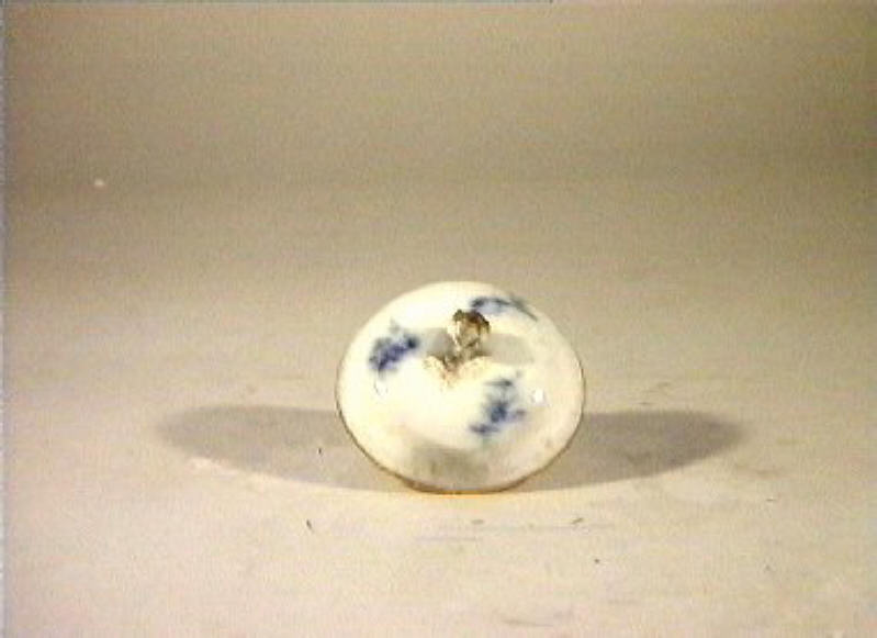 motivi decorativi vegetali e animali (coperchio) - manifattura reale di Prussia (sec. XIX)