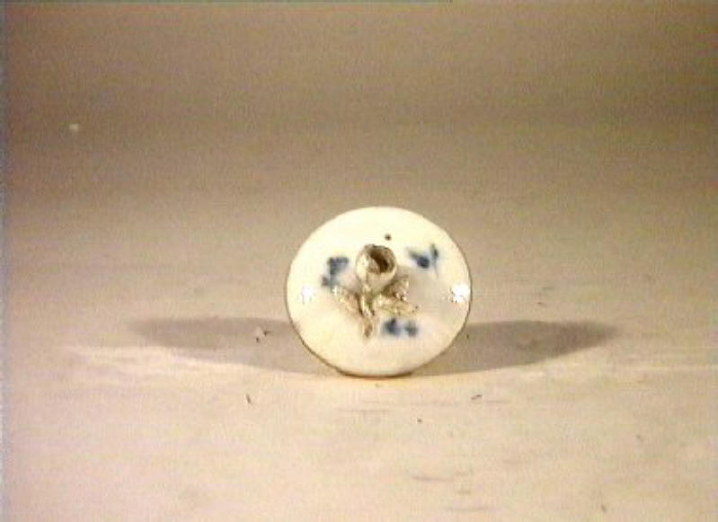 motivi decorativi vegetali e animali (coperchio) - manifattura reale di Prussia (sec. XIX)