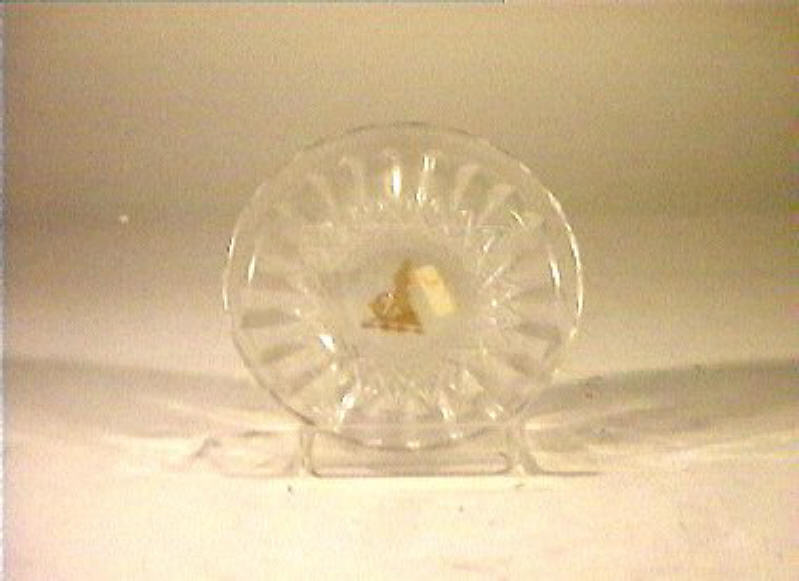 piattino - bottega italiana (sec. XIX)