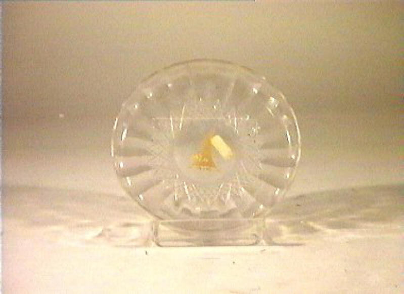 piattino - bottega italiana (sec. XIX)