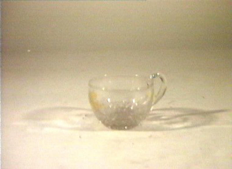 tazzina - bottega italiana (sec. XIX)