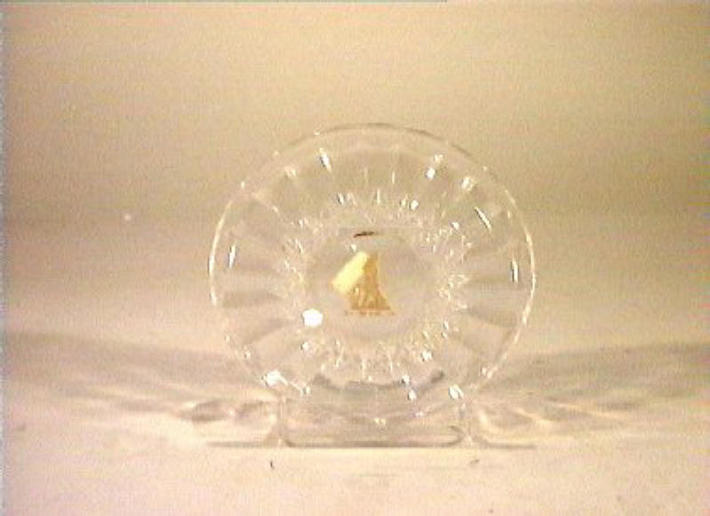 piattino - bottega italiana (sec. XIX)