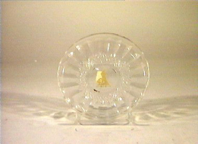 piattino - bottega italiana (sec. XIX)