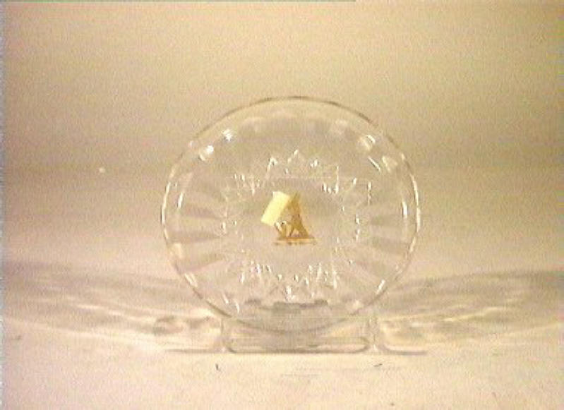 piattino - bottega italiana (sec. XIX)