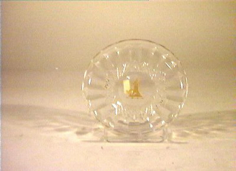 piattino - bottega italiana (sec. XIX)