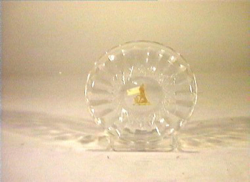 piattino - bottega italiana (sec. XIX)