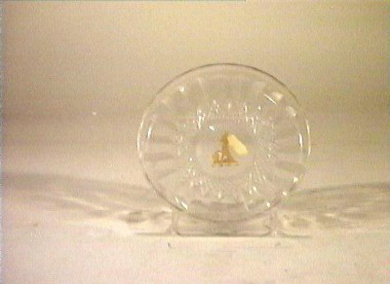 piattino - bottega italiana (sec. XIX)