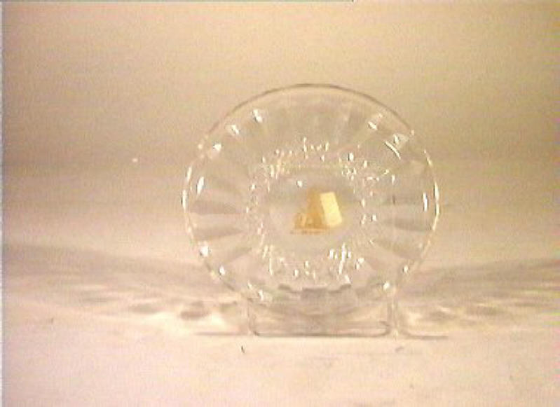 piattino - bottega italiana (sec. XIX)