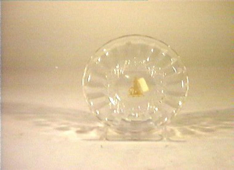 piattino - bottega italiana (sec. XIX)