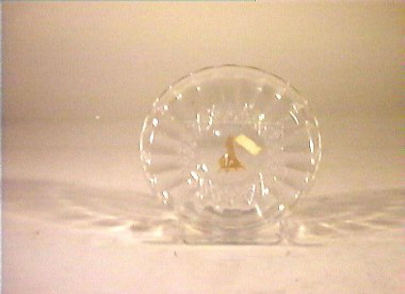 piattino - bottega italiana (sec. XIX)