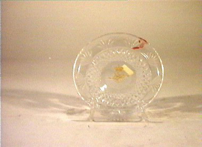 piattino - bottega italiana (sec. XIX)