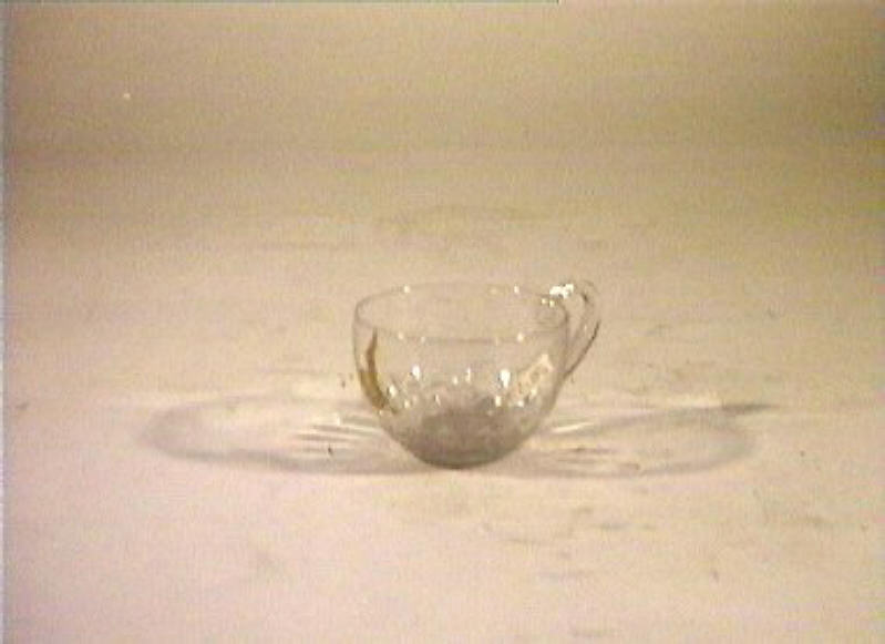 tazzina - bottega italiana (sec. XIX)