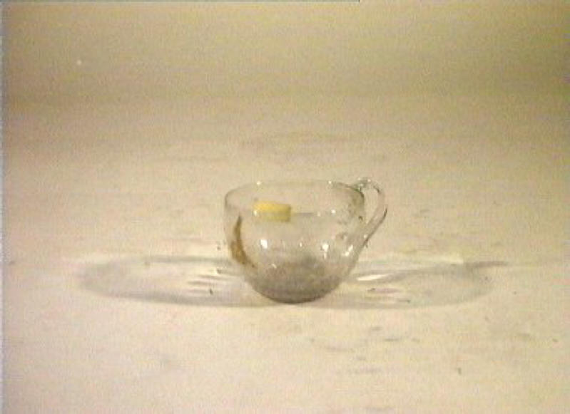 tazzina - bottega italiana (sec. XIX)