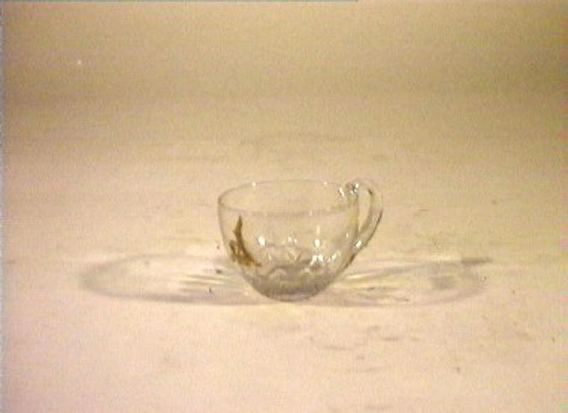 tazzina - bottega italiana (sec. XIX)