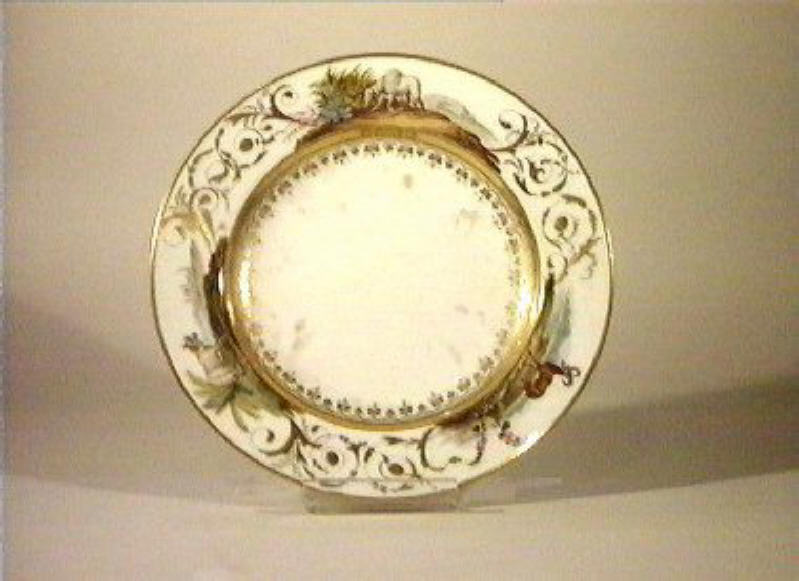 motivi decorativi vegetali (piatto) di Giovine Raffaele (sec. XIX)