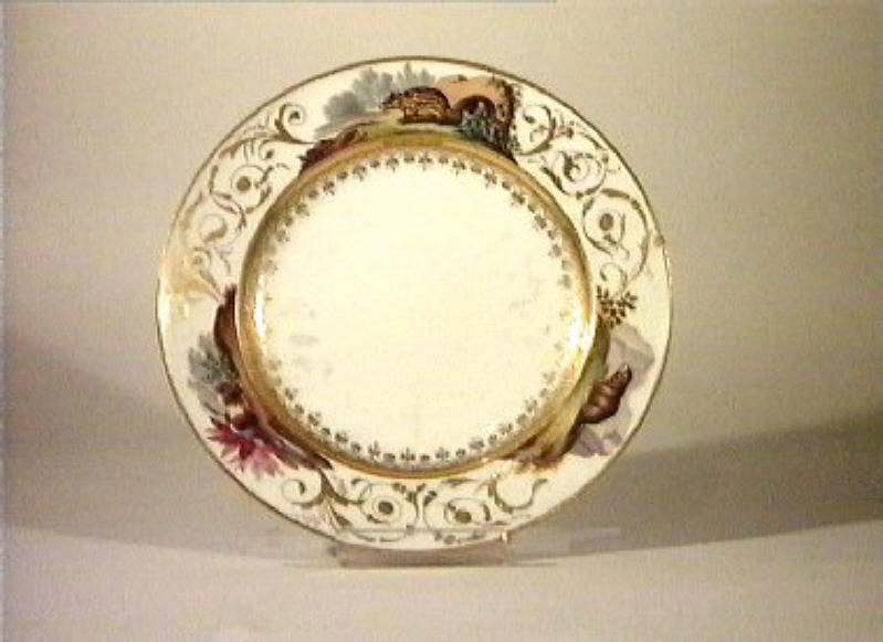 motivi decorativi vegetali (piatto) di Giovine Raffaele (sec. XIX)