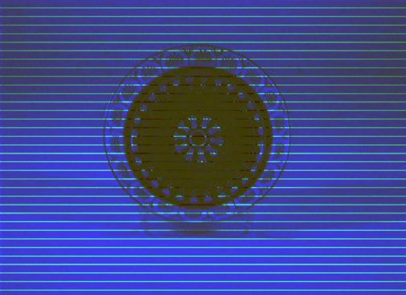 motivi decorativi (piattino) - manifattura viennese (sec. XIX)