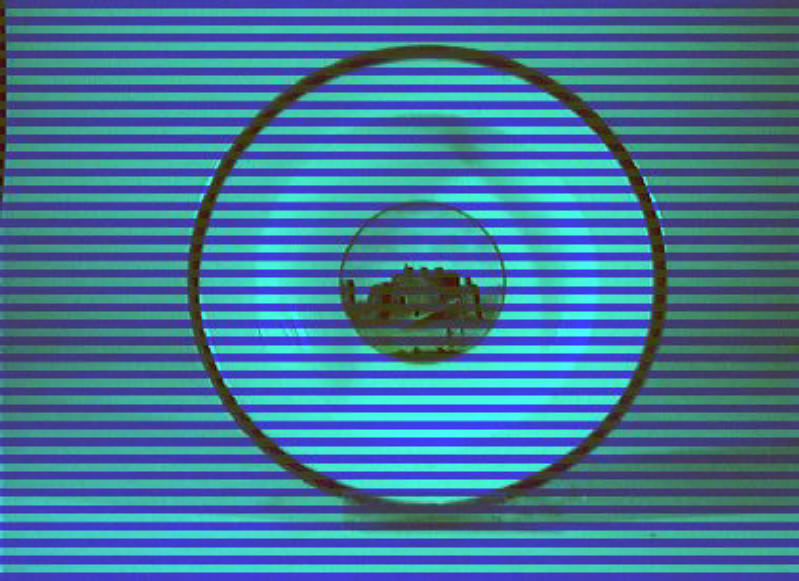 paesaggio (piatto) - manifattura di Doccia (sec. XIX)