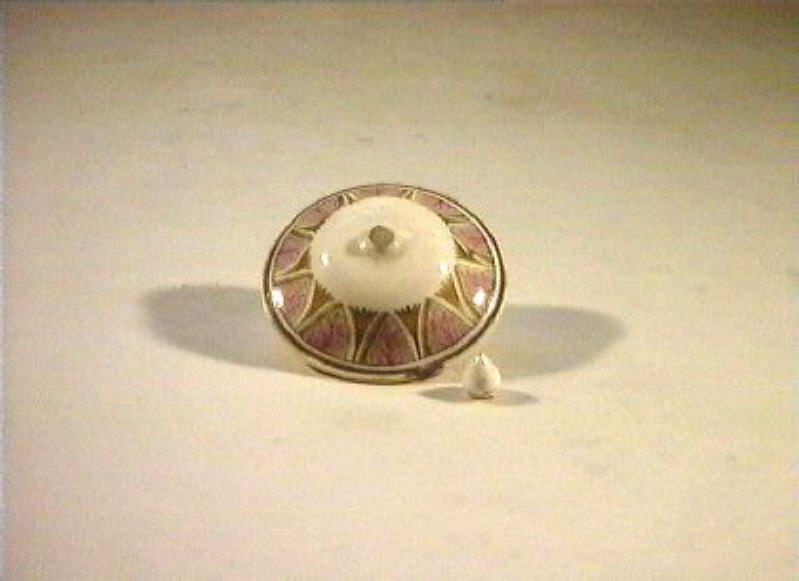 motivi decorativi vegetali (coperchietto) - manifattura Del Vecchio (sec. XIX)