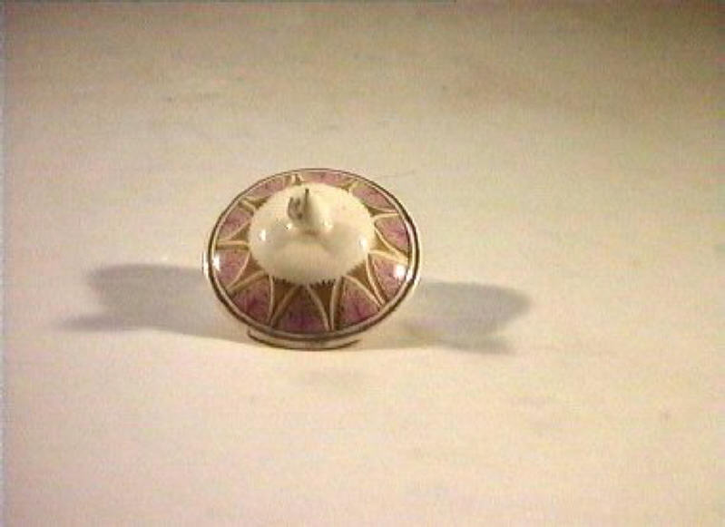 motivi decorativi vegetali (coperchietto) - manifattura Del Vecchio (sec. XIX)